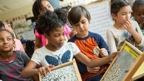 Diverse group of kids learning about bees and honey in elementary classroom
