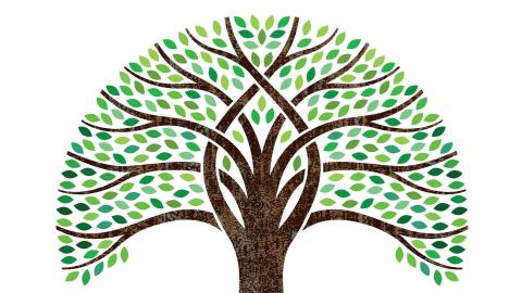 woodcut illustration of branching tree with leaves and roots