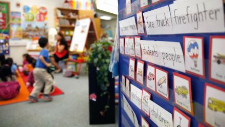 word wall in first grade classroom filled with vocabulary words
